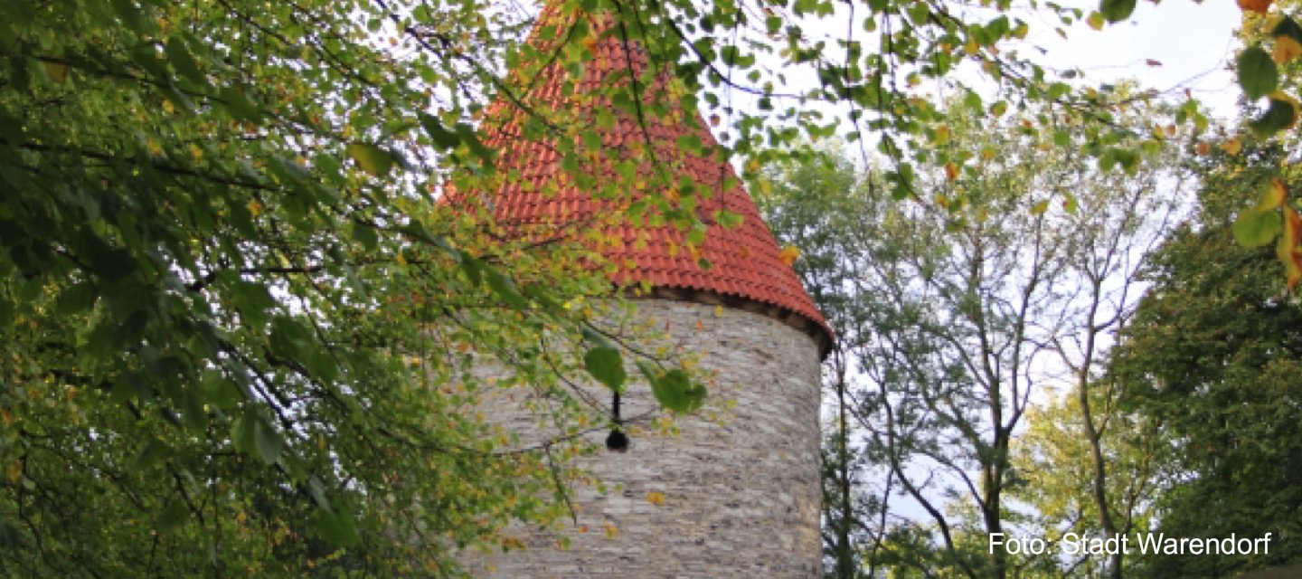 Bentheimer Turm - Hauptbild