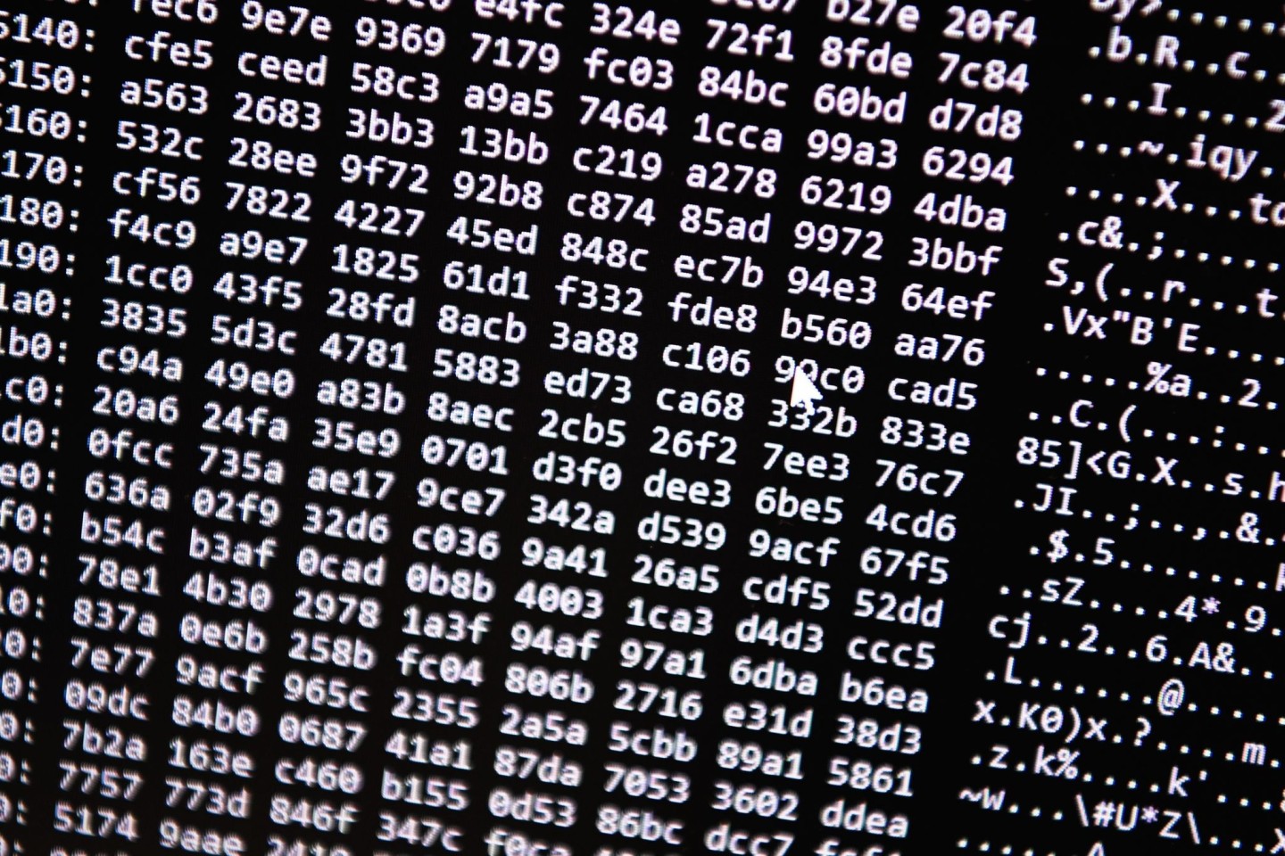 Ein Zahlencode läuft in der Zentralstelle Cybercrime Bayern (ZCB) über einen Bildschirm: Gegen einen mutmaßlichen Darknet-Drogenhändler wird ermittelt.