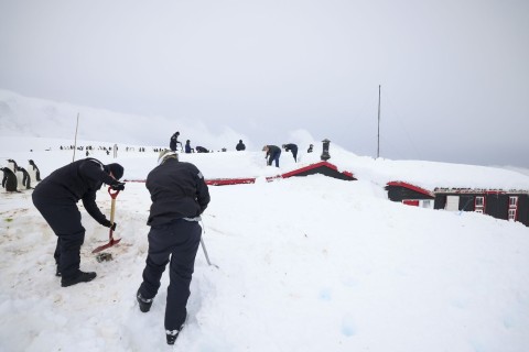 Britische Navy muss Postamt in Antarktis freischaufeln
