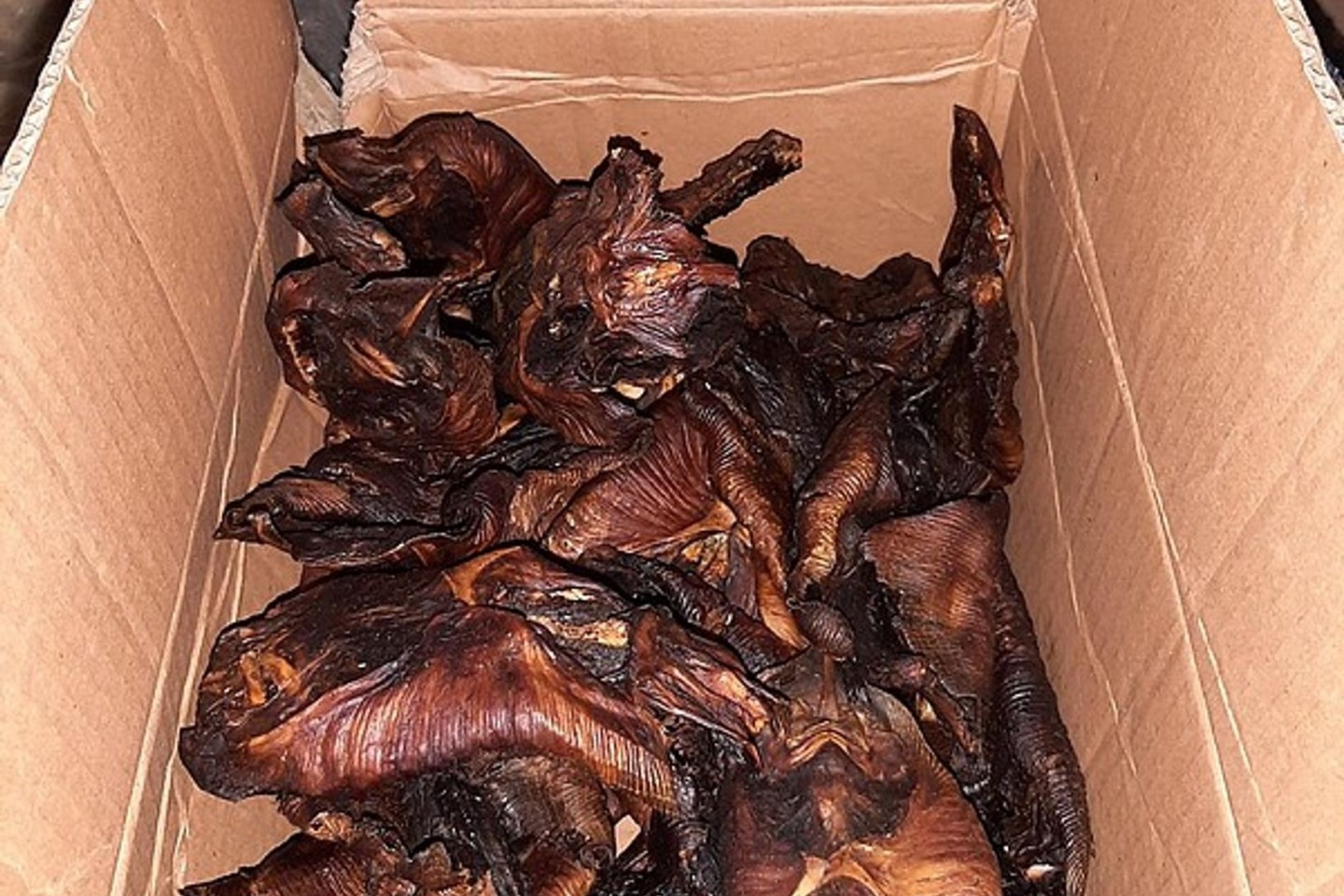 Gebratene Fledermäuse, die von der Bundespolizei Aachen beschlagnahmt wurden.