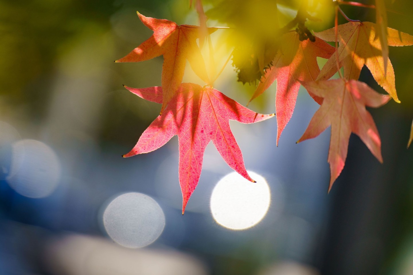 Am 23.09. ist der kalendarische Herbstanfang.