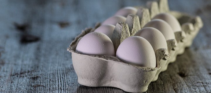 Eier wegen Salmonellen-Gefahr zurückgerufen +++