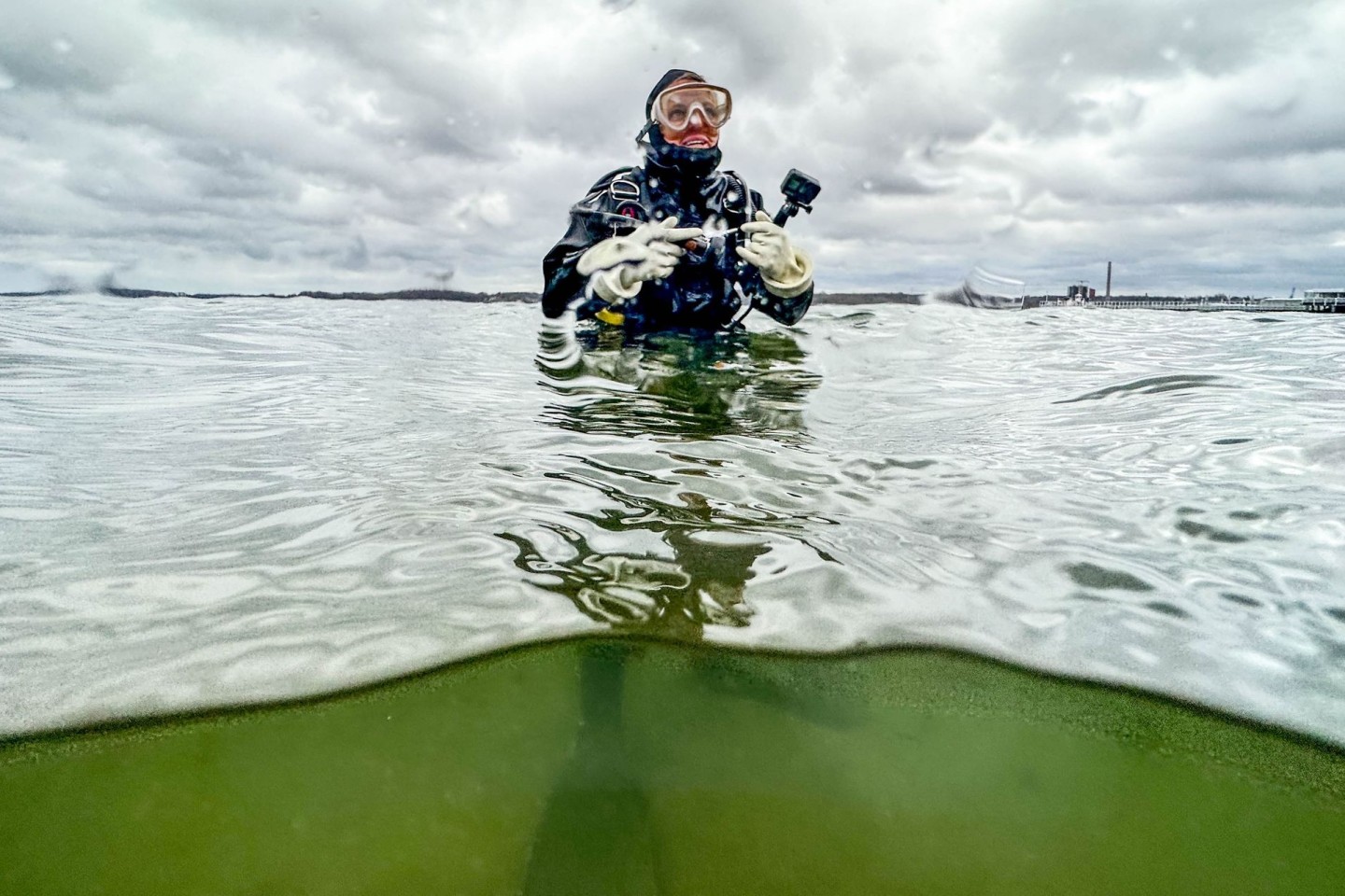 Die australische Meeresbiologin Angela Stevenson taucht an einer Seegraswiese in der Kieler Förde.