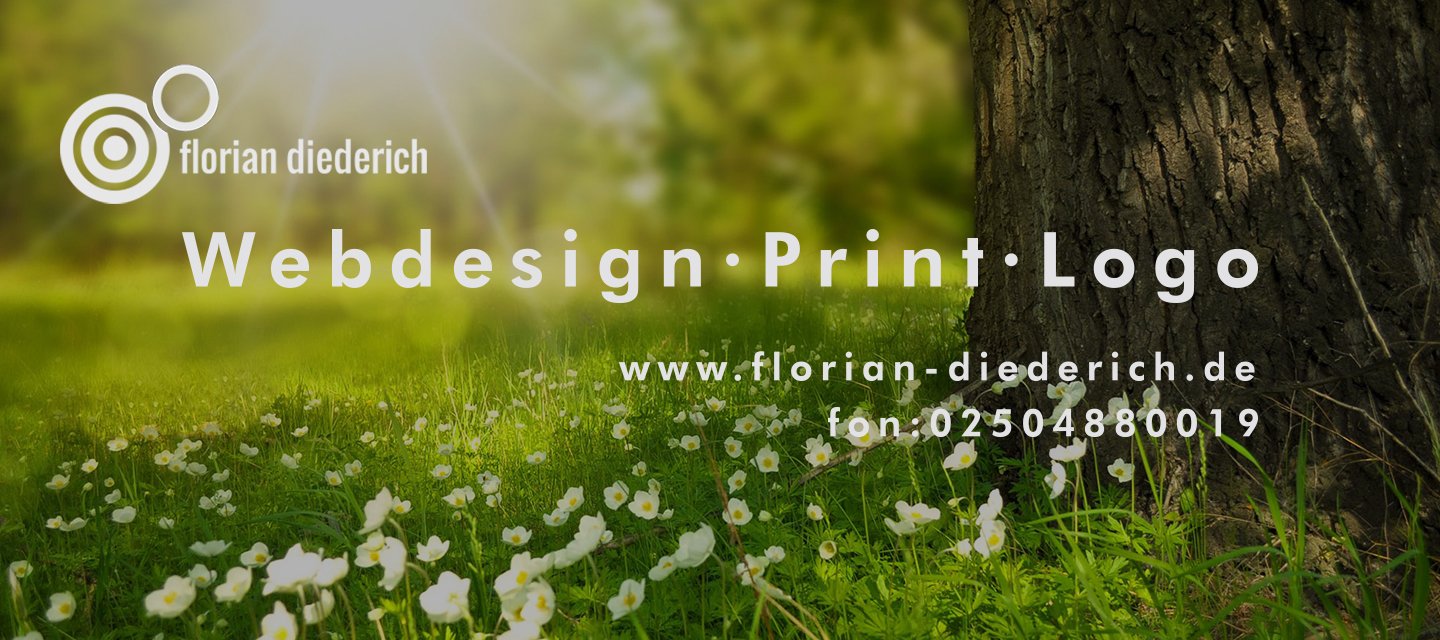 Florian Diederich Webdesign - 1. Bild Profilseite