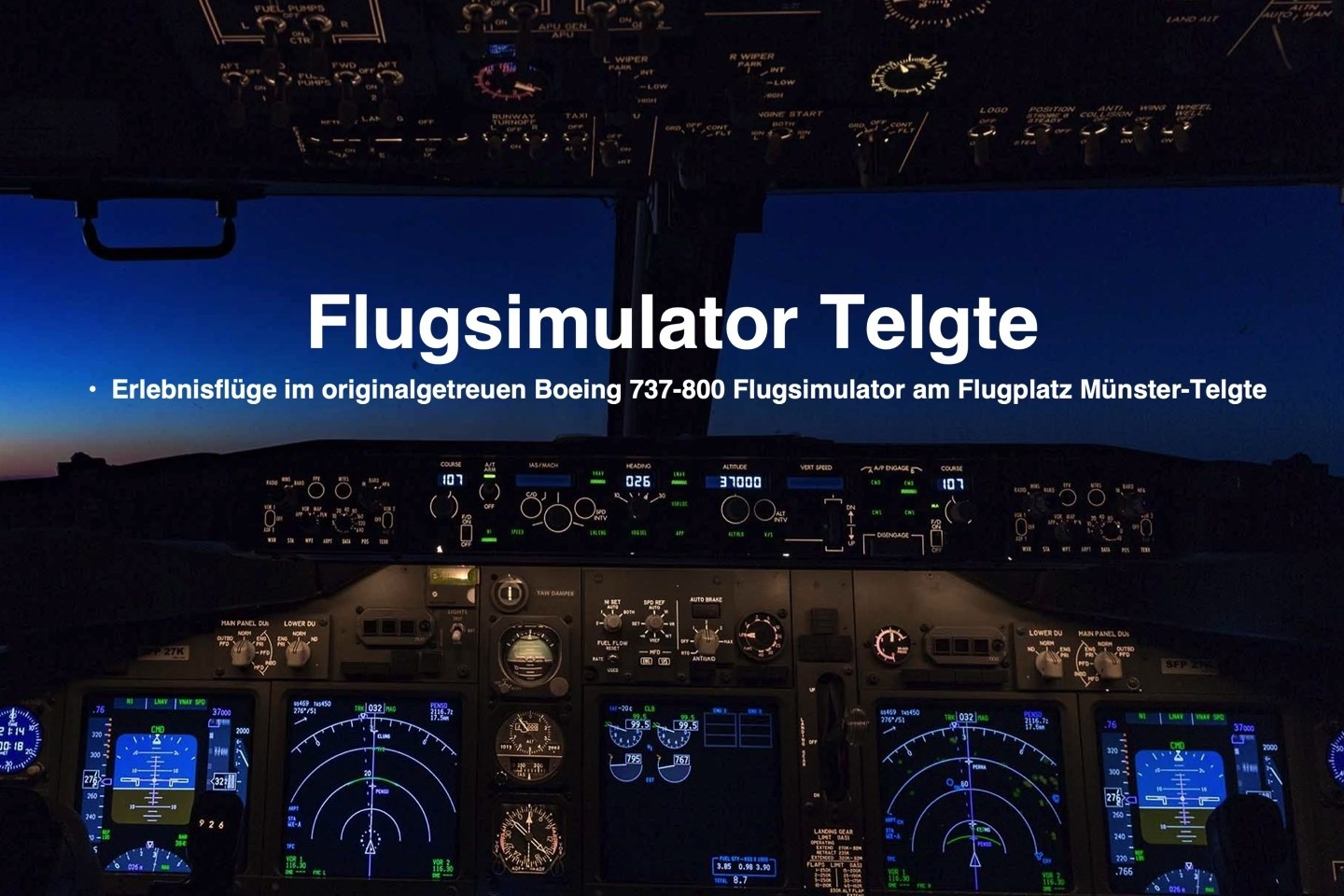 Flugsimulator,Boeing 737,Flugplatz,Testflüge,Training,Pilot,Event,Gruppenevent,