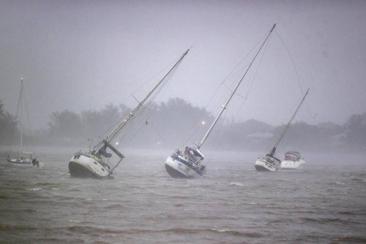 Segelboote werden in der Roberts Bay im Westen Floridas umhergeweht.