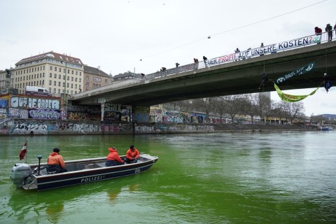 Klima-Aktivisten färben Donaukanal in Wien grün