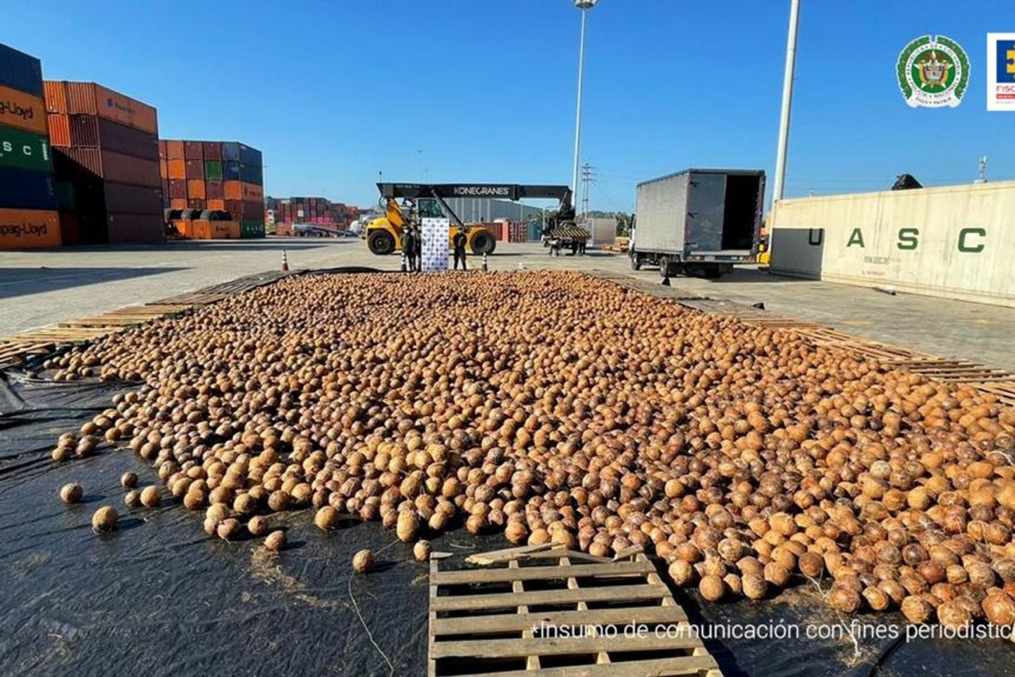 Auf diesem von der Staatsanwaltschaft zur Verfügung gestellten Bild sind Kokosnüsse zu sehen, die mit flüssigem Kokain nach Europa geschickt werden sollten.