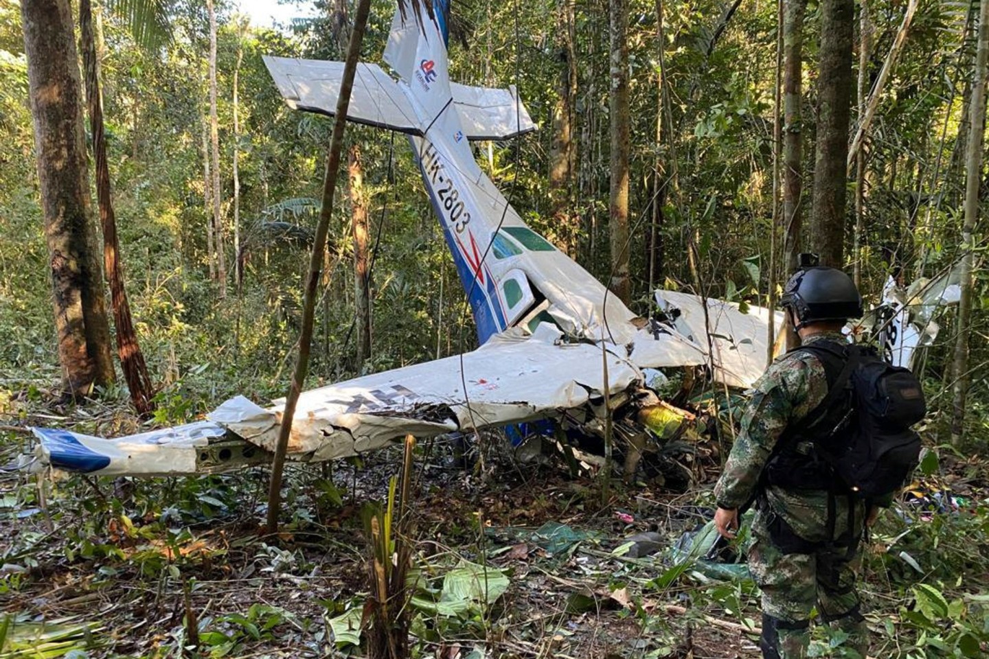 Das Wrack der Cessna C206: Rund vier Wochen nach dem Absturz des Kleinflugzeugs im Regenwald Kolumbiens setzt das Militär eine neue Strategie zur Suche der vier vermissten Kinder ein.