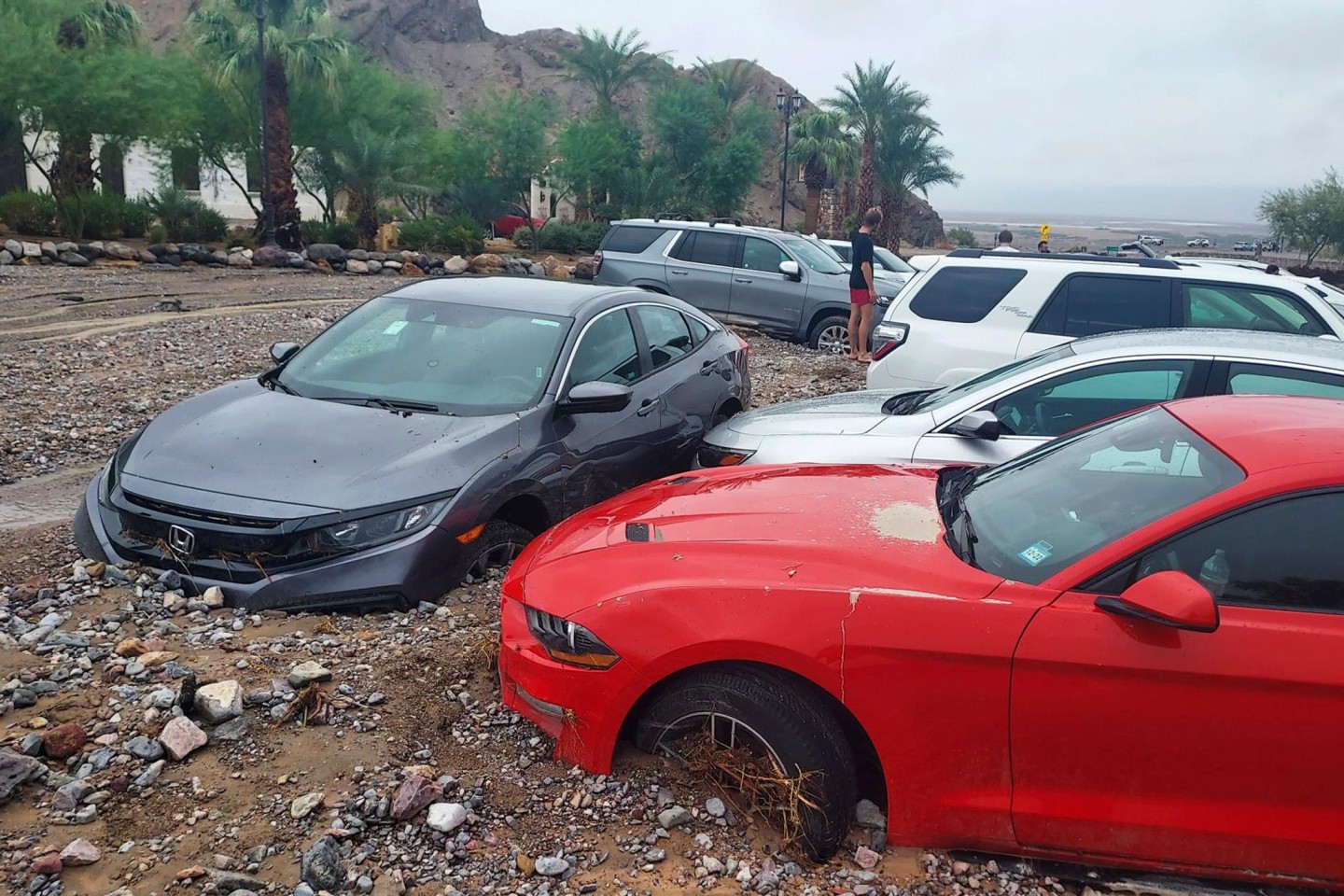 Autos stecken nach einer Sturzflut im Death Valley im Schlamm und Geröll fest.