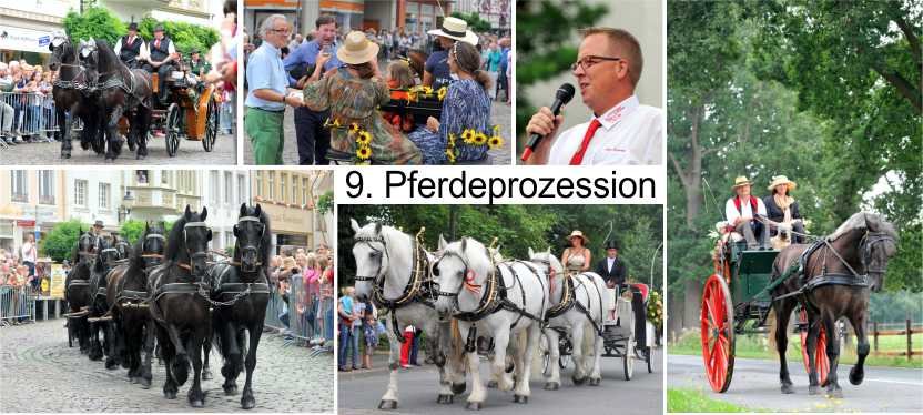 Pferdeprozession Warendorf - 1. Bild Profilseite