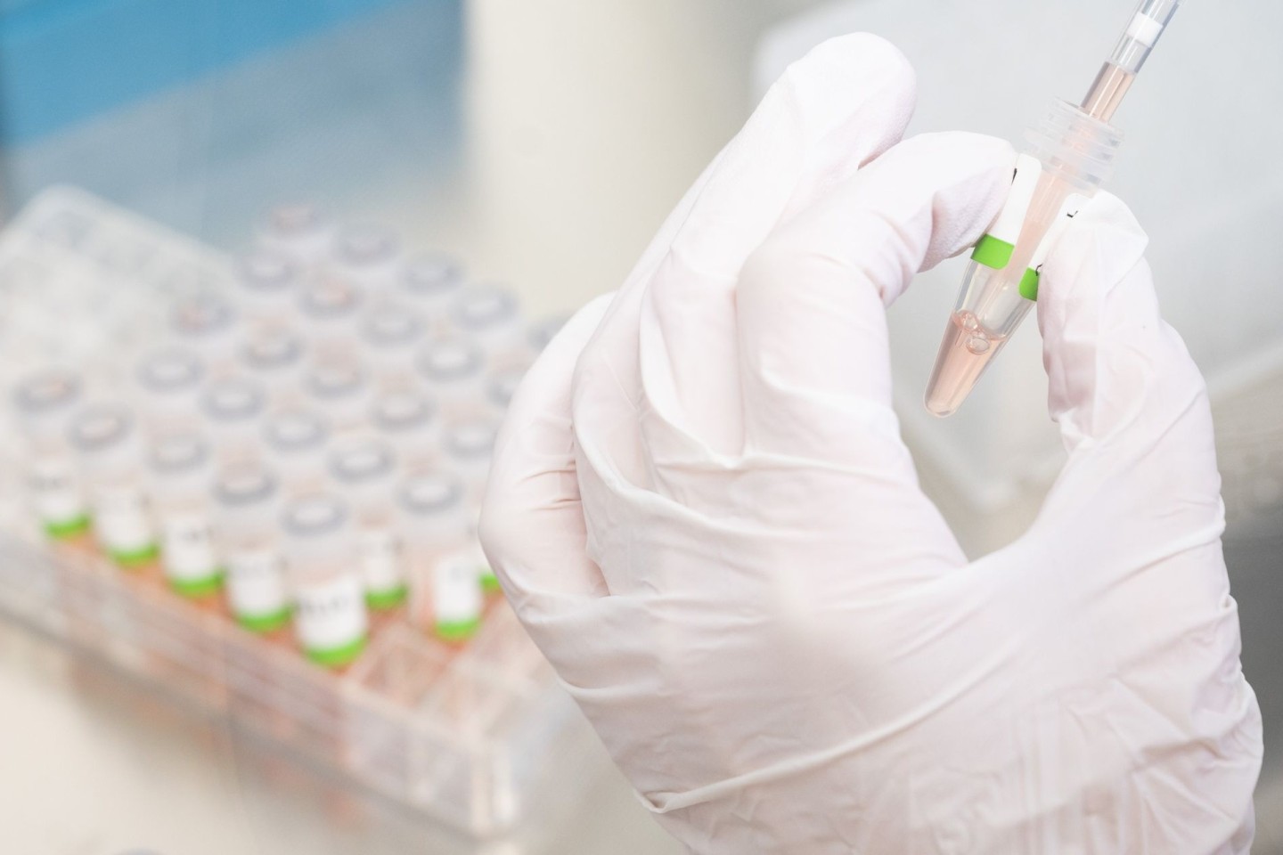 Eine biologisch-technische Assistentin bereitet PCR-Tests auf das Coronavirus im Niedersächsischen Landesgesundheitsamt für die Analyse vor.