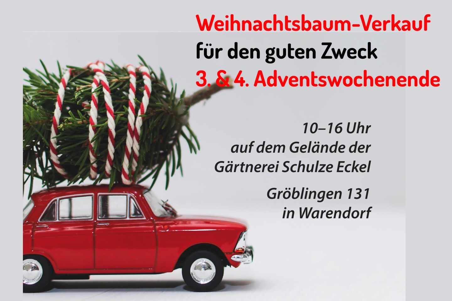 Roundtable,Weihnachtsbäume,Weihnachtsbaumverkauf,Schulze Eckel,Warendorf,Roundtable 230 WAF,