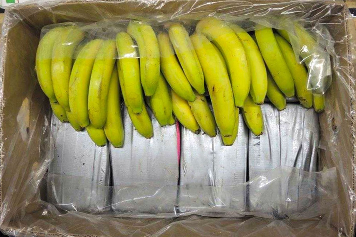 In Bananenkisten aus Ecuador sichergestelltes Kokain.