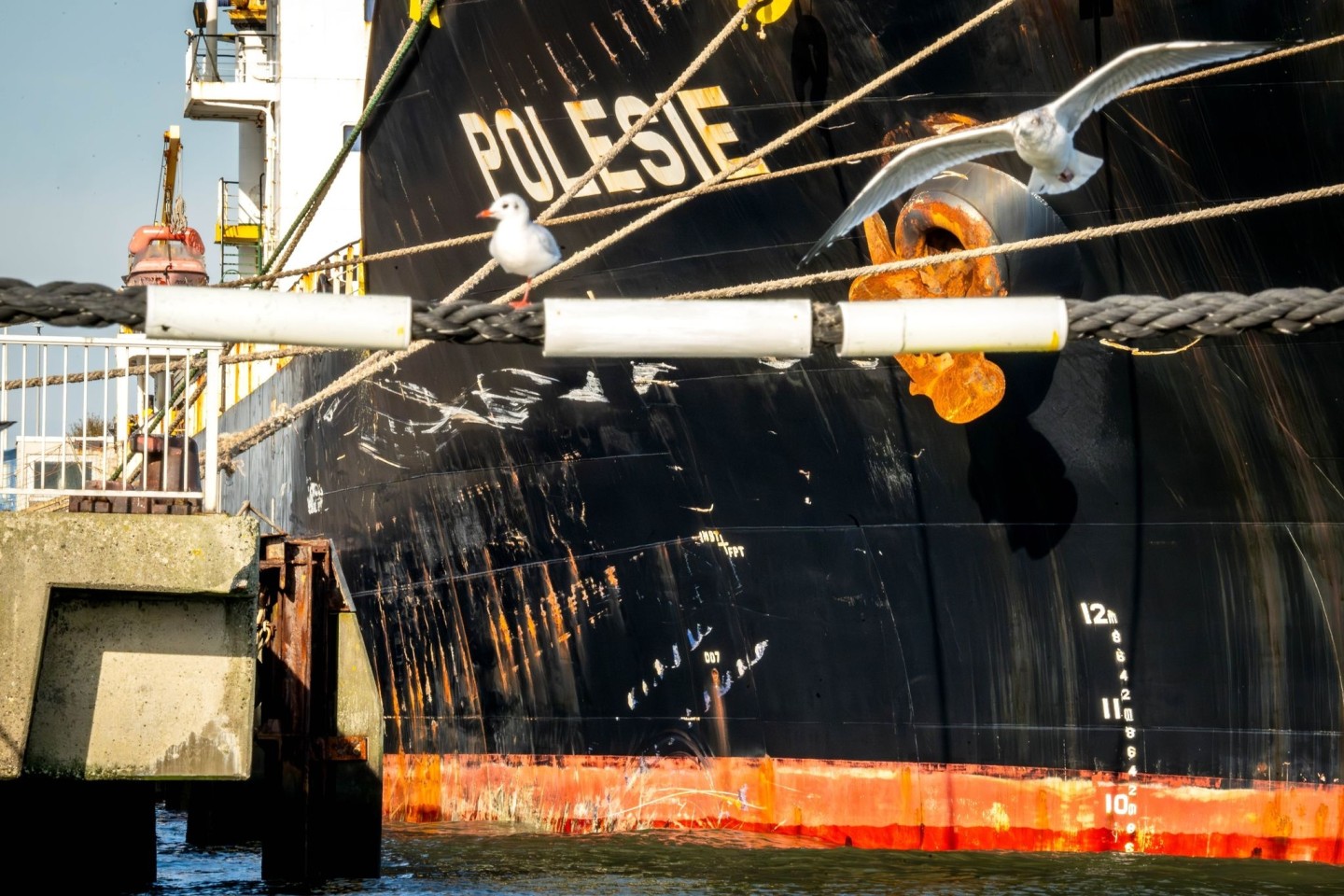 Infolge des Zusammenstoßes mit der „Polesie“ ist der Frachter «Verity“ in der in der Nordsee gesunken.