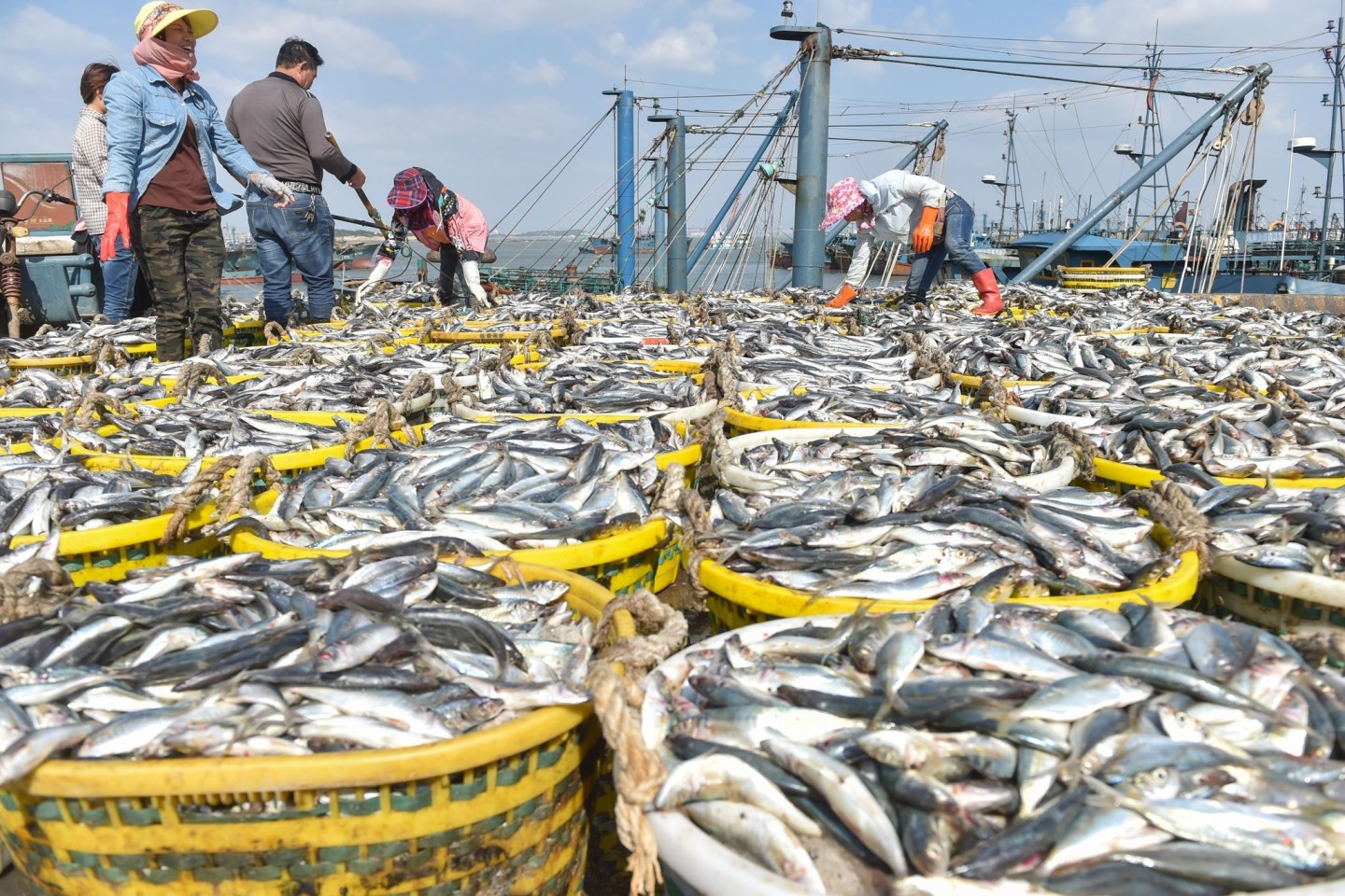 Fischer im Fischereihafen von Xiangzhi in der südostchinesischen Provinz Fujian.
