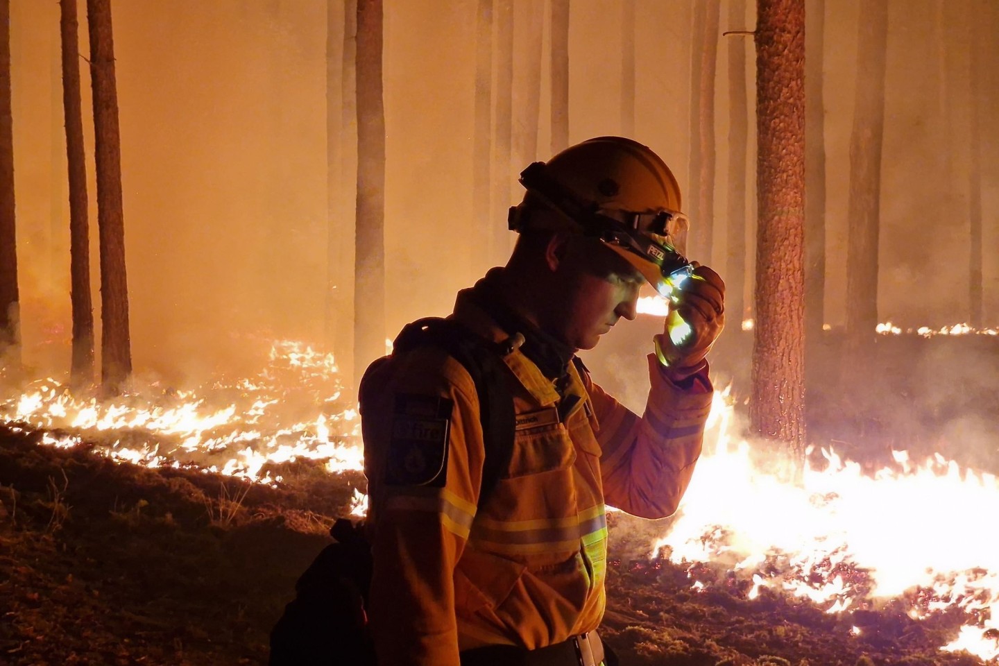 Der Waldbrand bei Beelitz ist nach Angaben des Bürgermeisters unter Kontrolle.