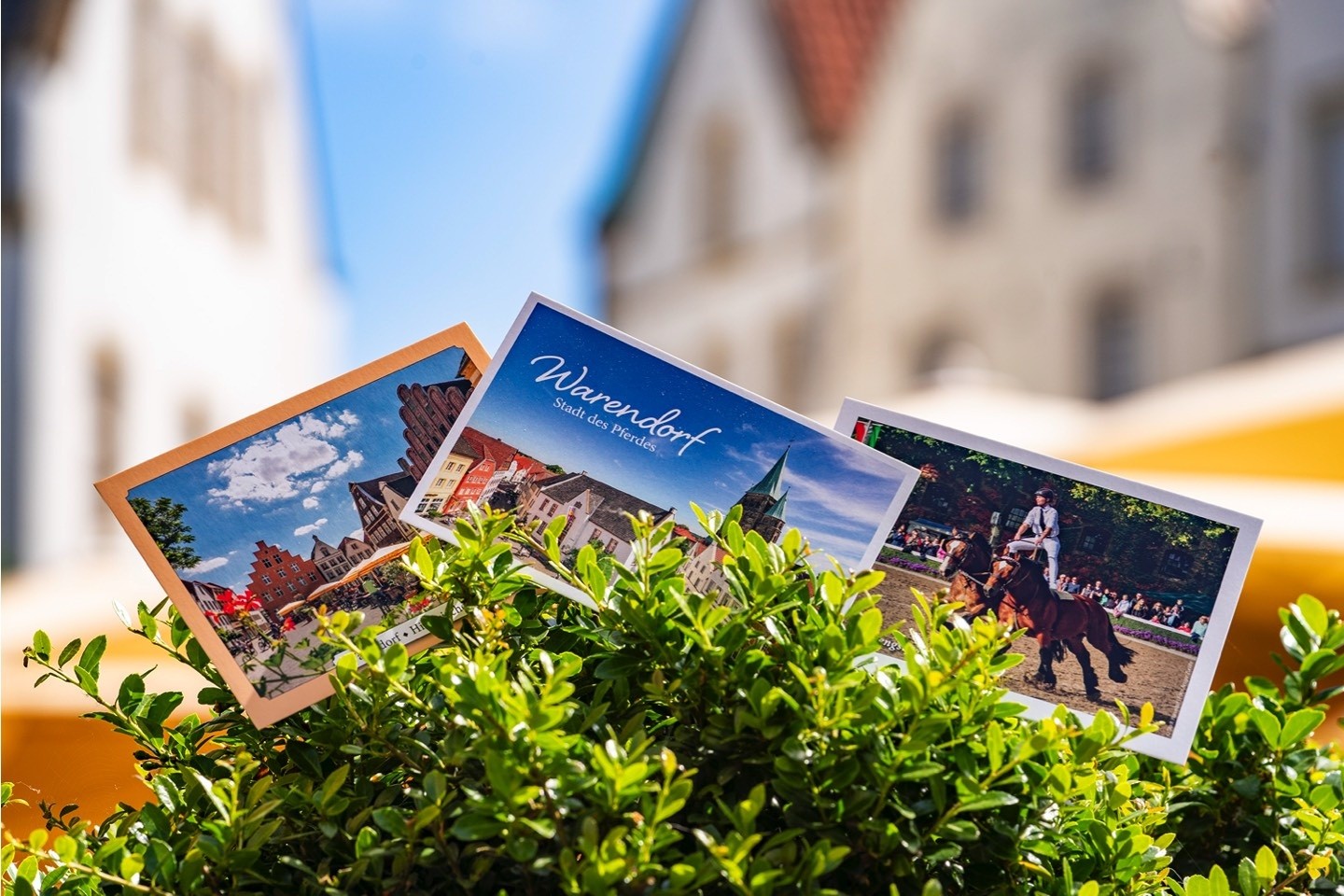 Postkarten,Stadtführungen,Tag der Bundeswehr,Kutschfahrten,Stadt Warendorf,Warendorf,